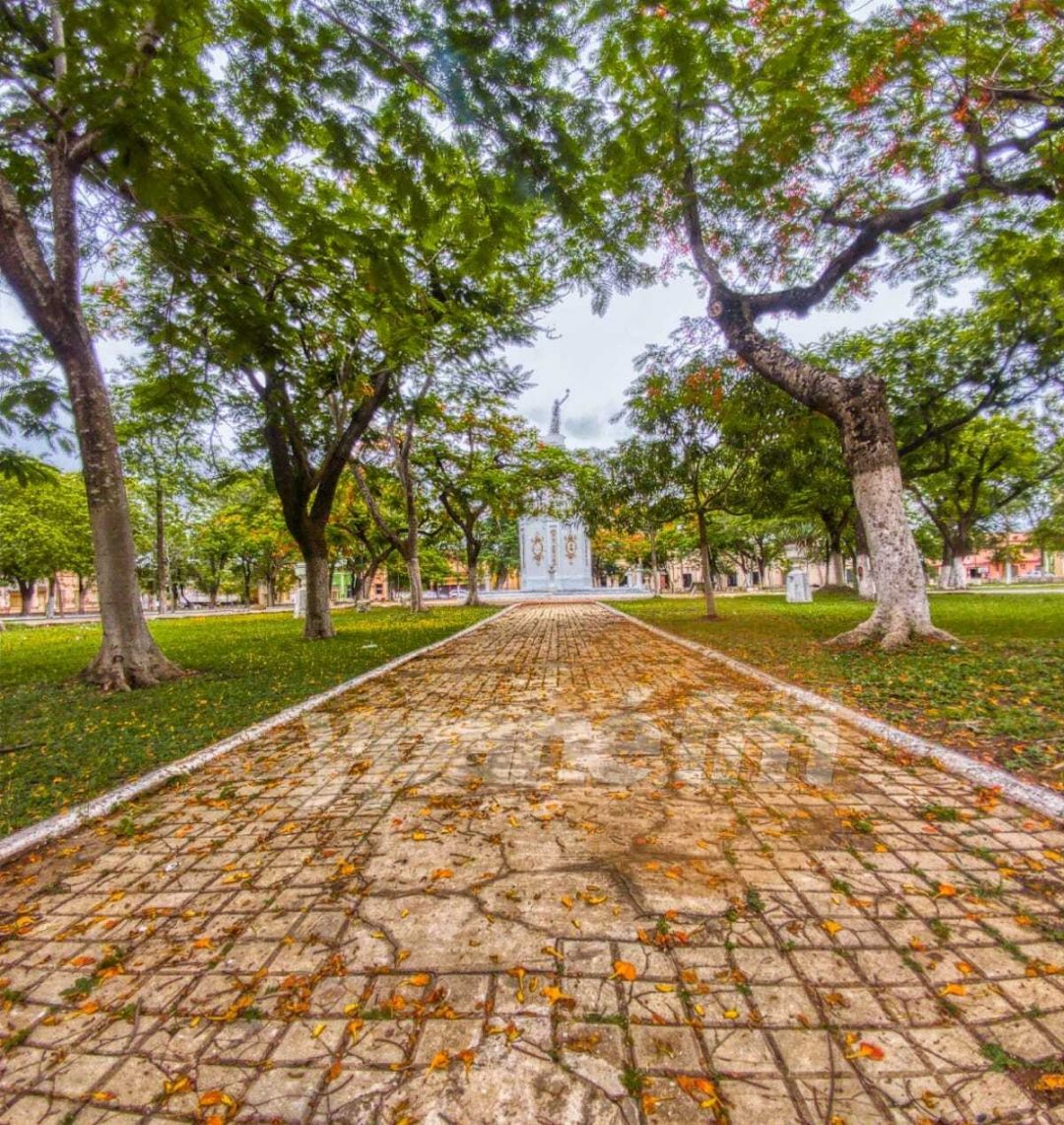 Amaneceres frescos y tardes cálidas anuncia Meteorología