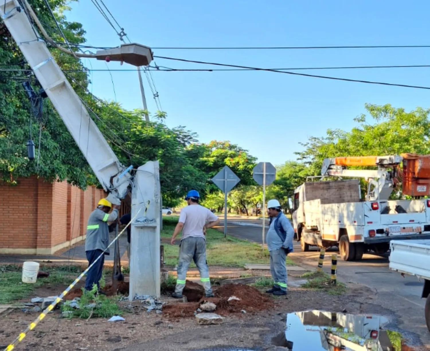 Fuertes vientos dejan árboles caídos y barrios sin luz en Concepción