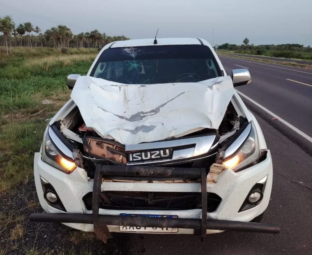Comitiva de Salud de Concepción chocó contra una vaca en zona del Chaco