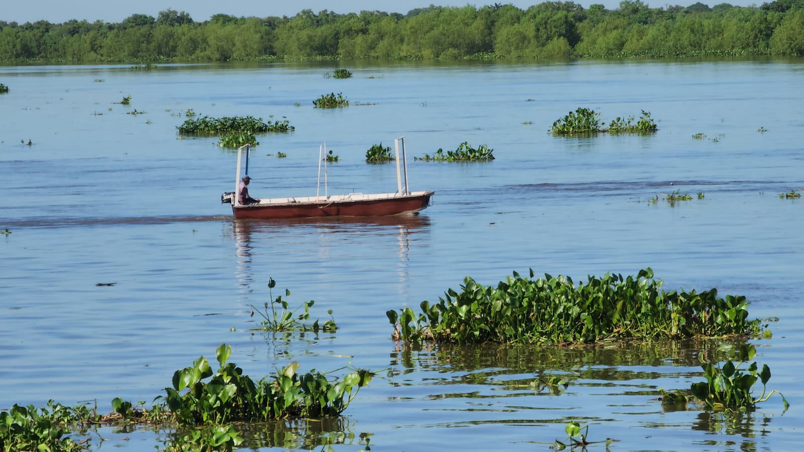 Declaran en emergencia a Concepción y 4 departamentos más