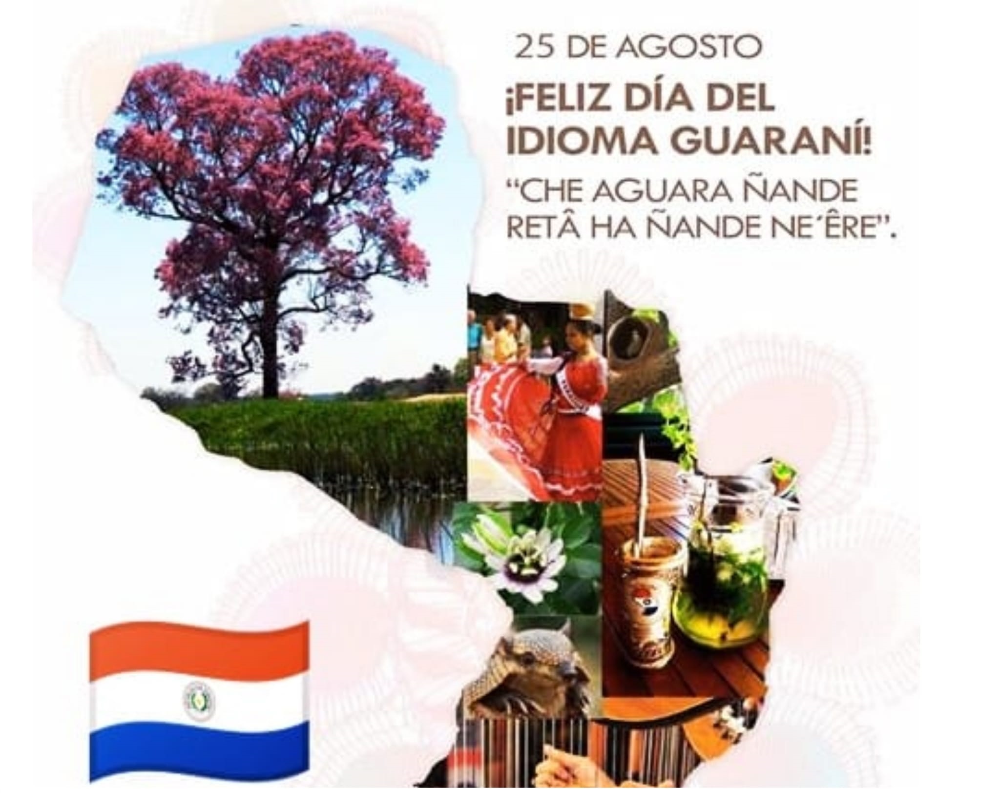 Día del Idioma Guaraní