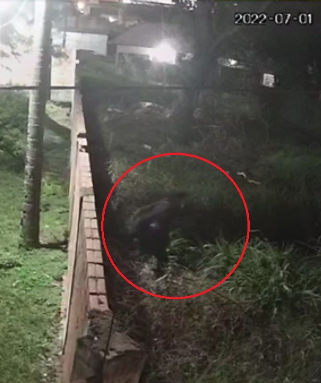 Intentaron hurtar en la Farmacia del Hospital Regional de Concepción