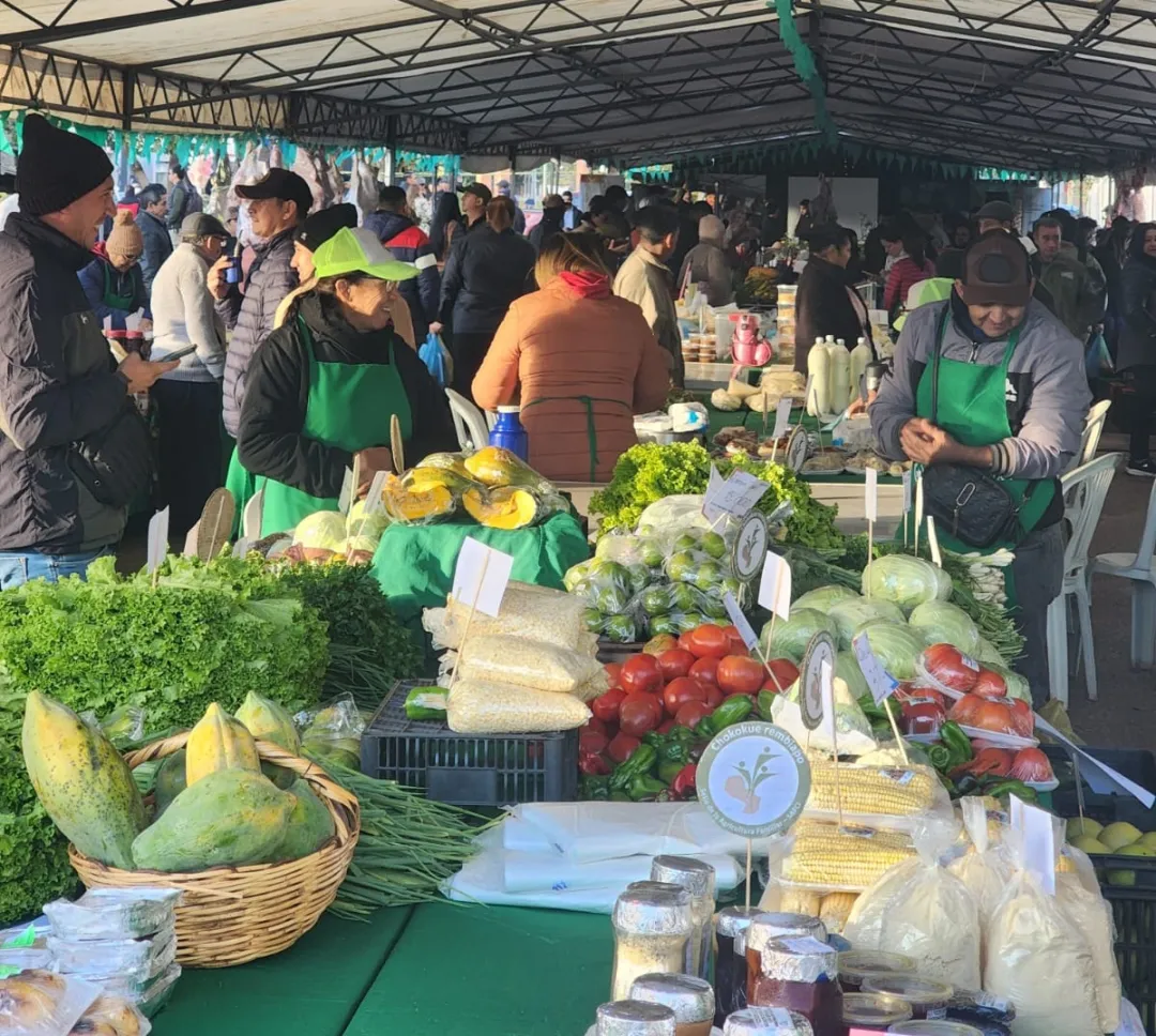 Arrancó la Feria Departamental de la Agricultura Familiar en Concepción