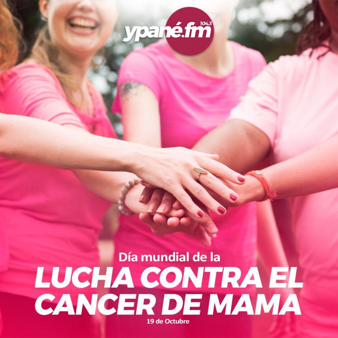 19 de octubre: Día Mundial de la Lucha contra el Cáncer de Mama