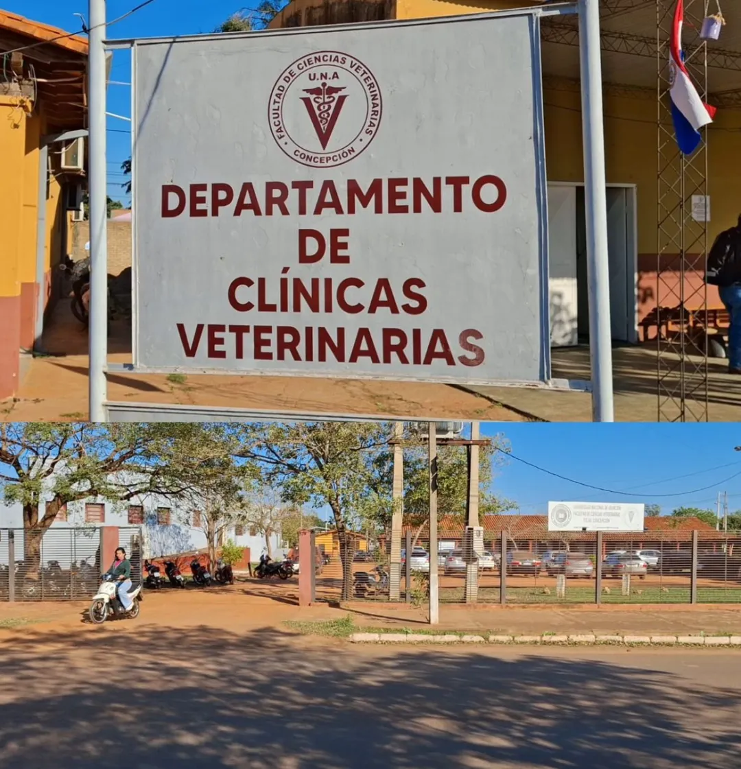 Aumentan los casos de leishmaniasis en Concepción