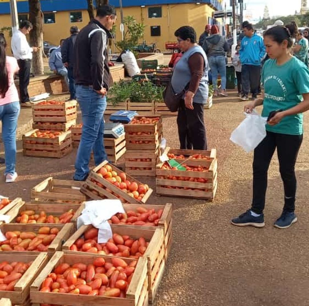 Feria de Tomates en la Plaza Agustín Fernando de Pinedo