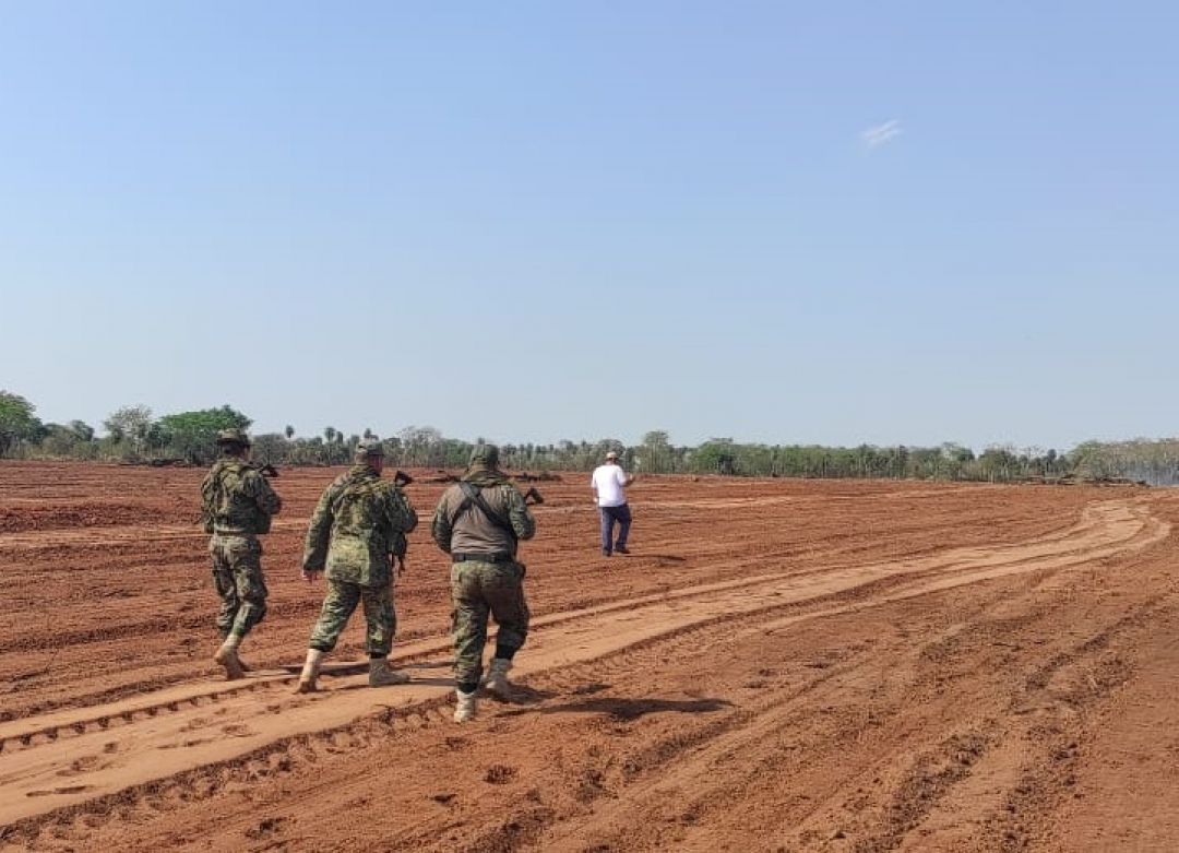 Detectaron infracción forestal en Horqueta