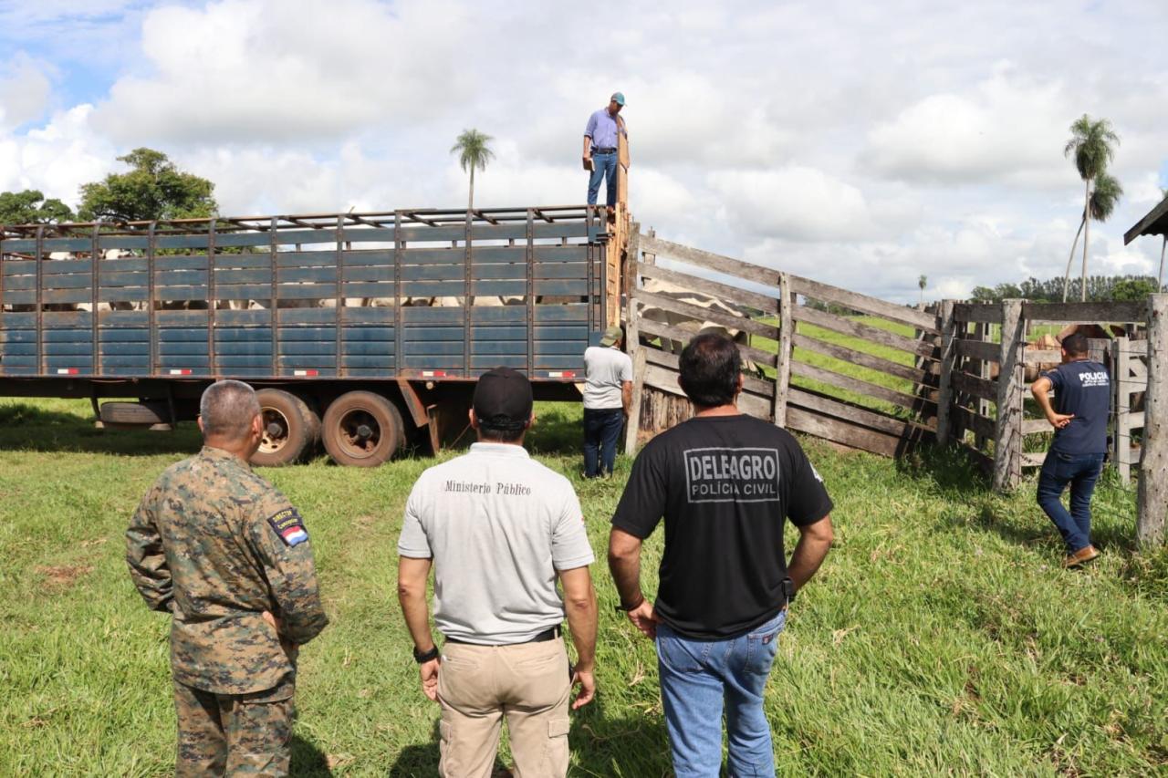 Inspeccionaron 119 animales vacunos recuperados en Brasil