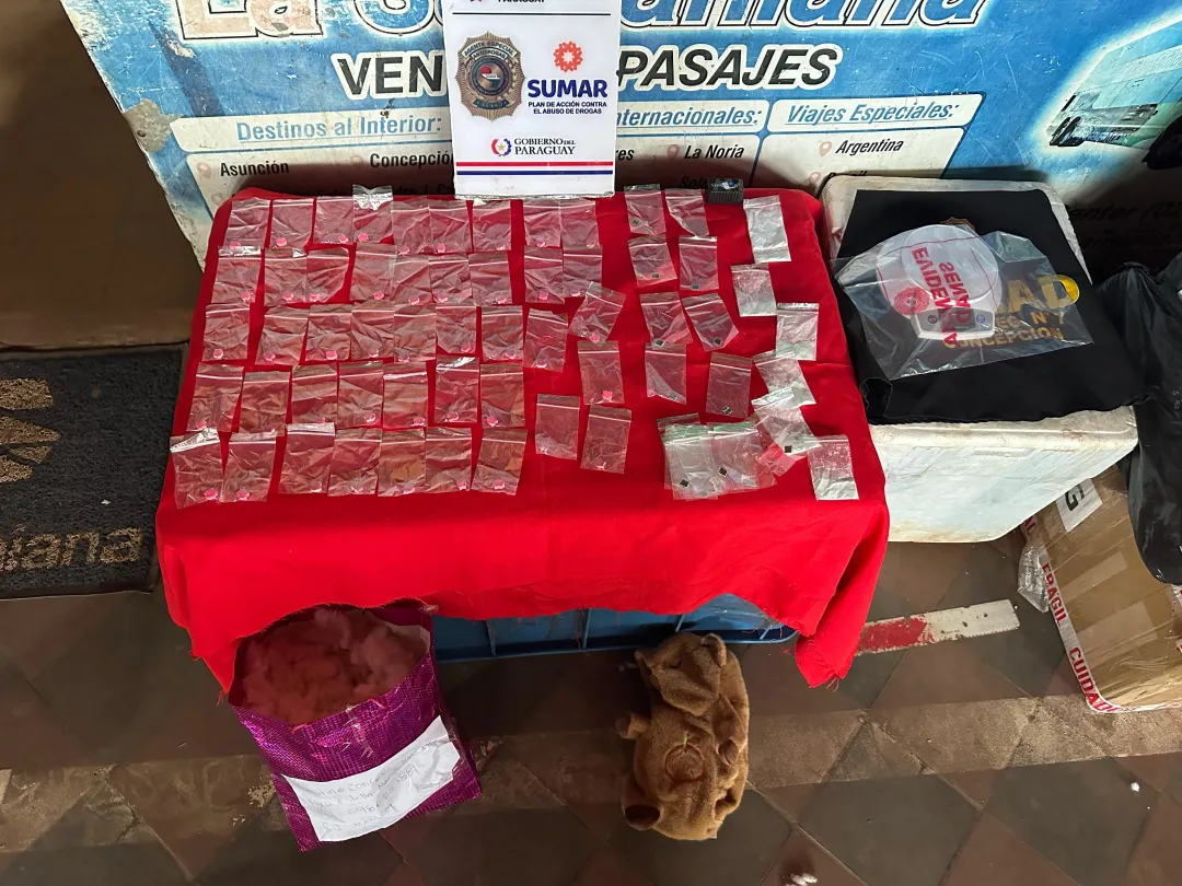 Senad detectó cocaína, éxtasis y LSD dentro de un peluche de capibara en Concepción