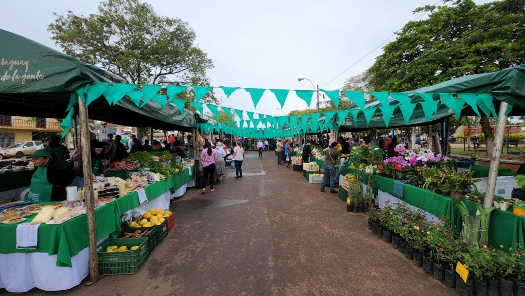 Más de 81 millones de recaudación en la Expo Feria de la Agricultura Familiar