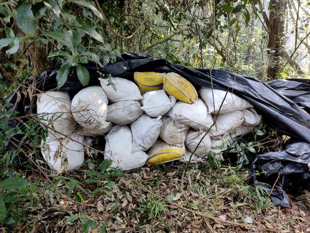 SENAD destruye 2.356 kilos de marihuana en Concepción.