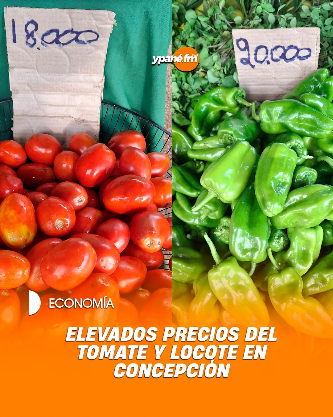 Elevados precios del tomate y el locote en Concepción
