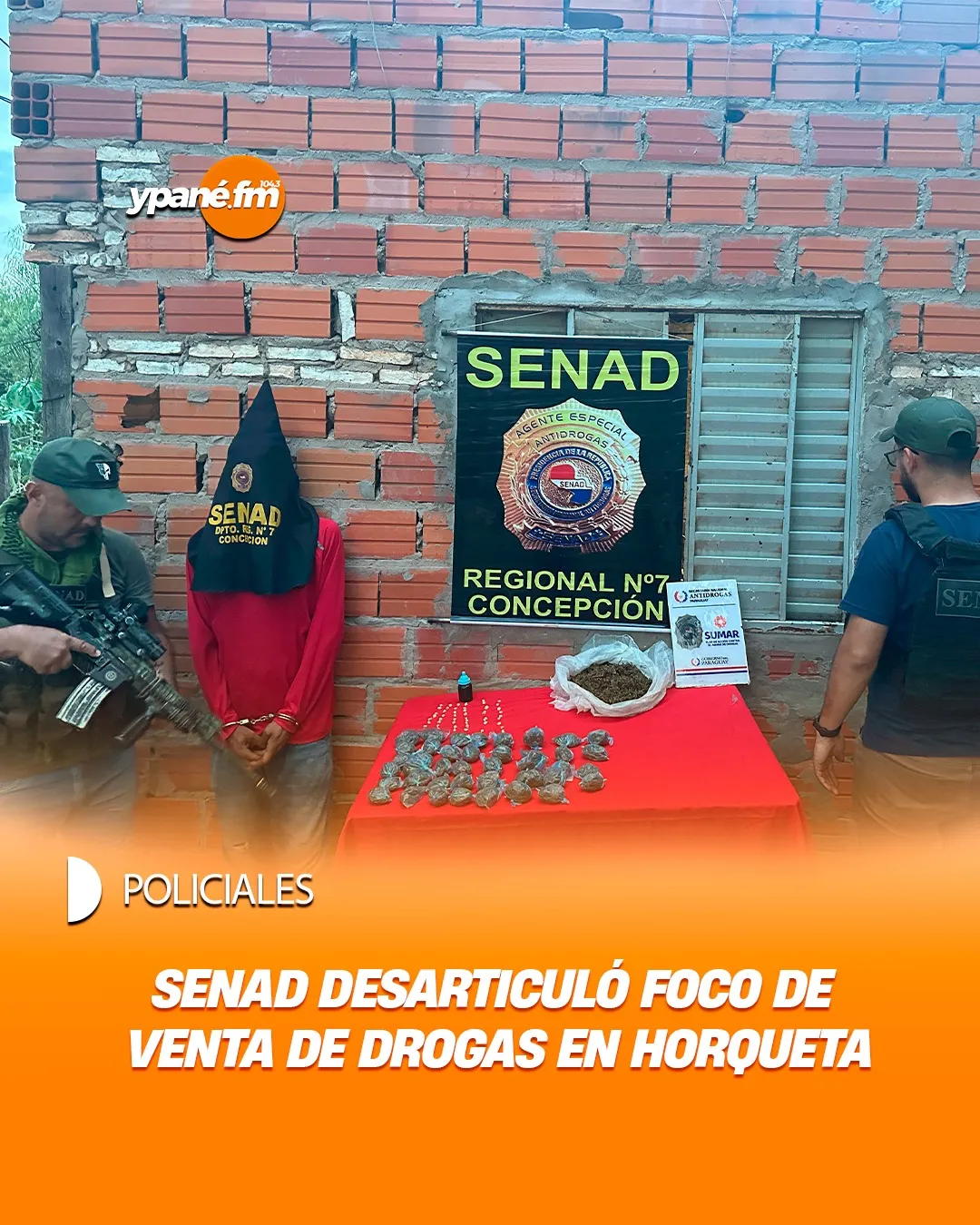 Senad desarticuló foco de venta de drogas en Horqueta