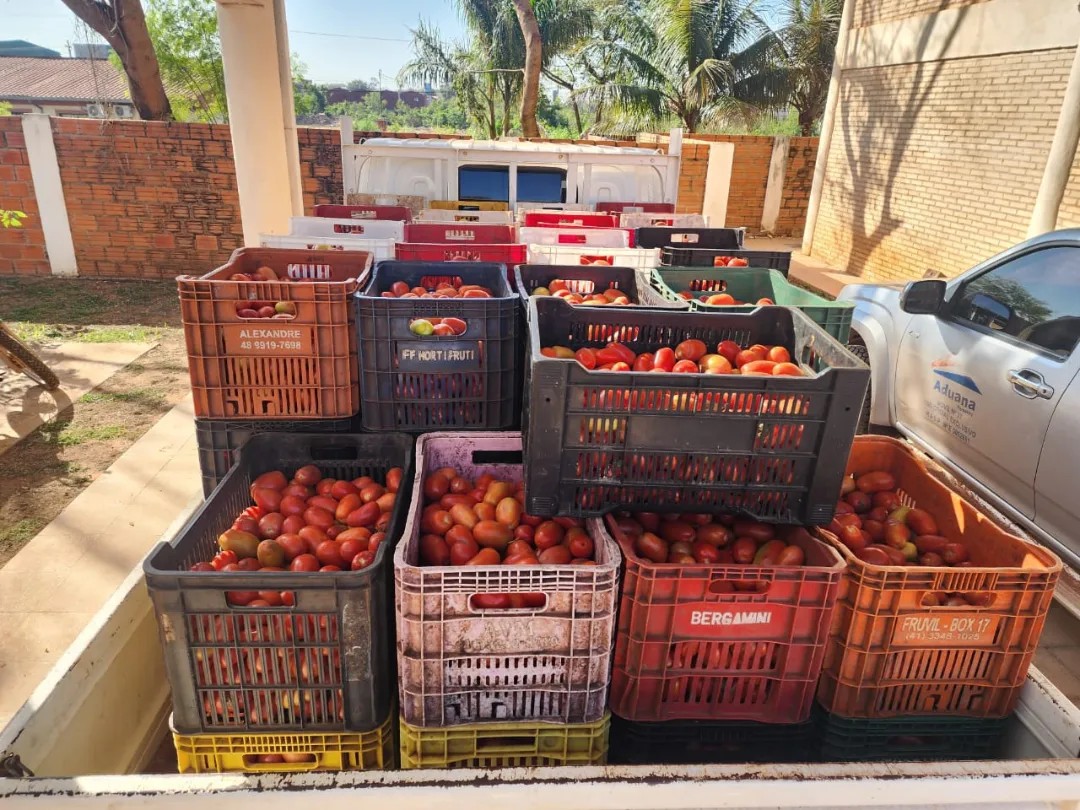 Incautaron tomates presumiblemente de contrabando en Yby Yaú