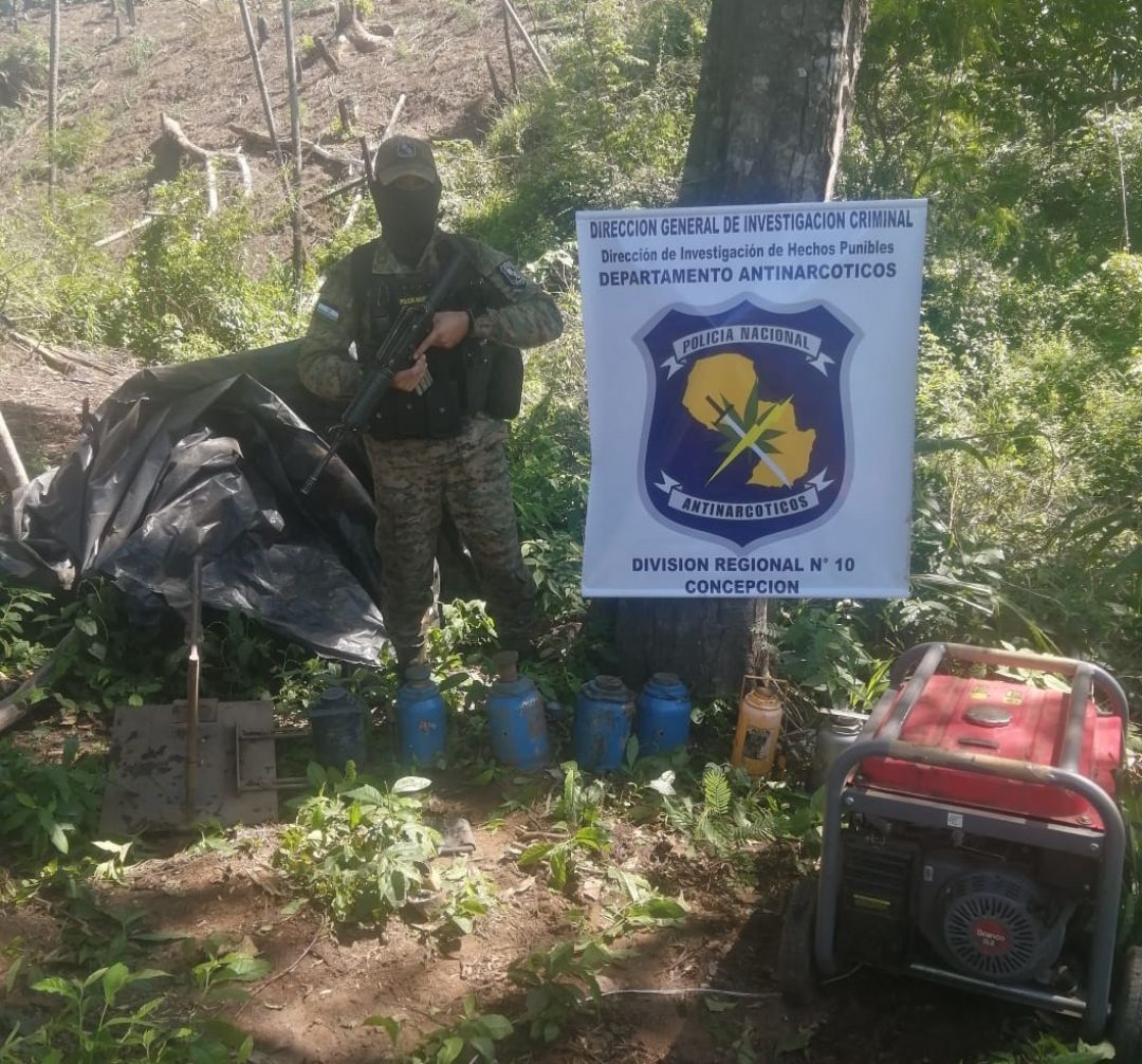 Destruyeron plantaciones de marihuana en Cerro Sarambi