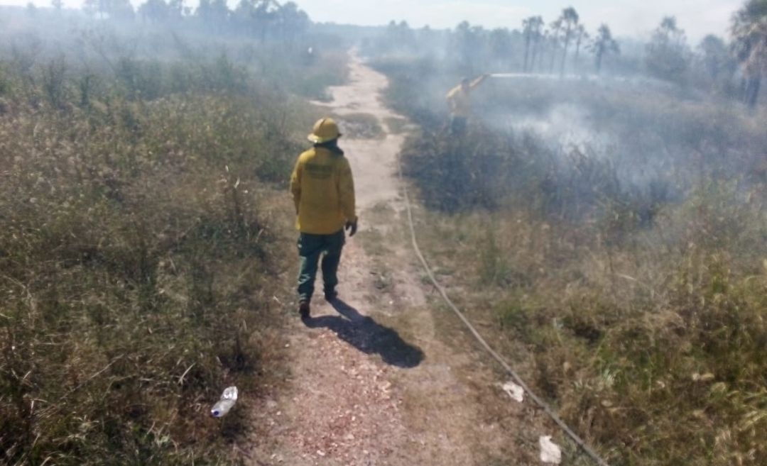 Bomberos Voluntarios de Concepción acudieron a varios llamados de incendio