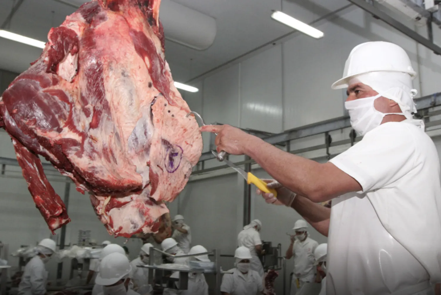 La carne paraguaya sigue abriendo mercados: Filipinas habilita importación de productos bovinos, porcinos y aviar