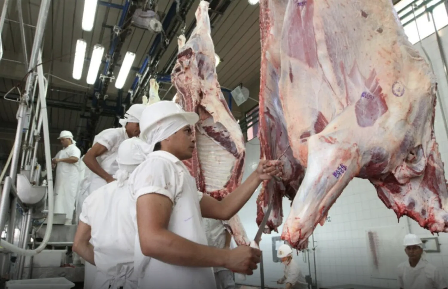 Exportaciones de origen animal alcanzaron US$ 2.255 millones al cierre de octubre