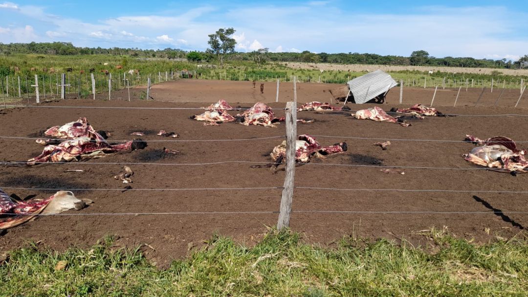 Sospechan que banda de abigeos perpetra atracos simulando a la ACA