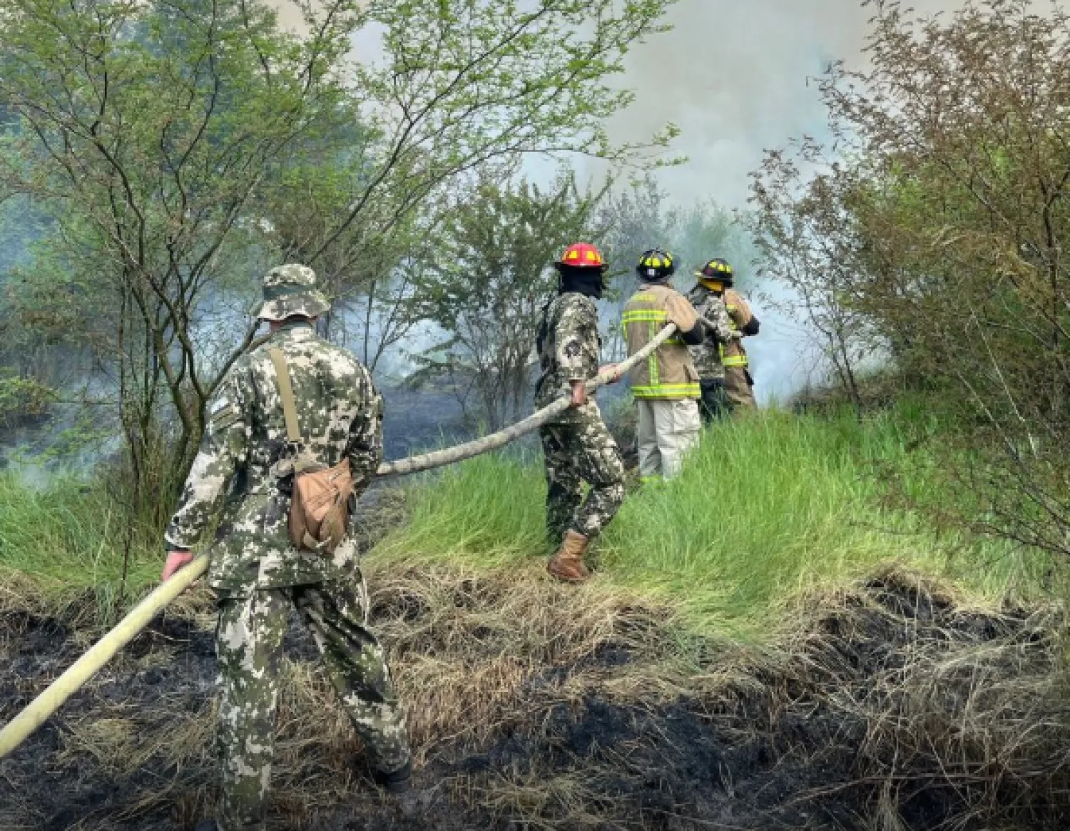 Casi todos los incendios forestales fueron provocados y serán investigados por la Fiscalía