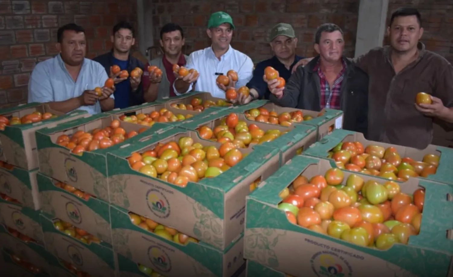 Reinician exportación con envío de 90.000 kilos de tomates a la Argentina
