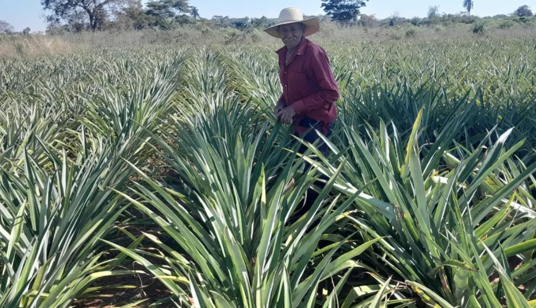 Dos años de gestión: DEAG expande apoyo a productores en 14 distritos