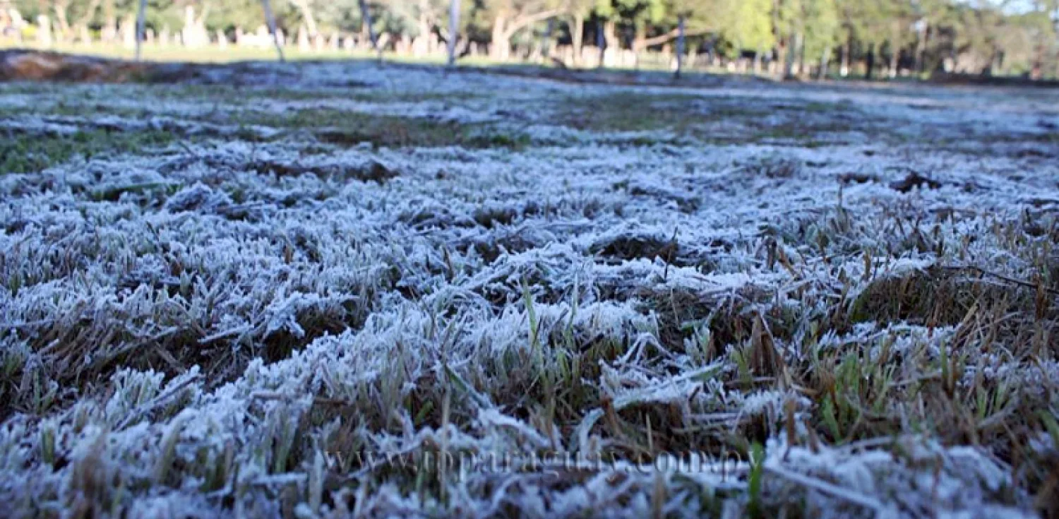 Cartera agropecuaria alerta sobre heladas y activa medidas para proteger la producción