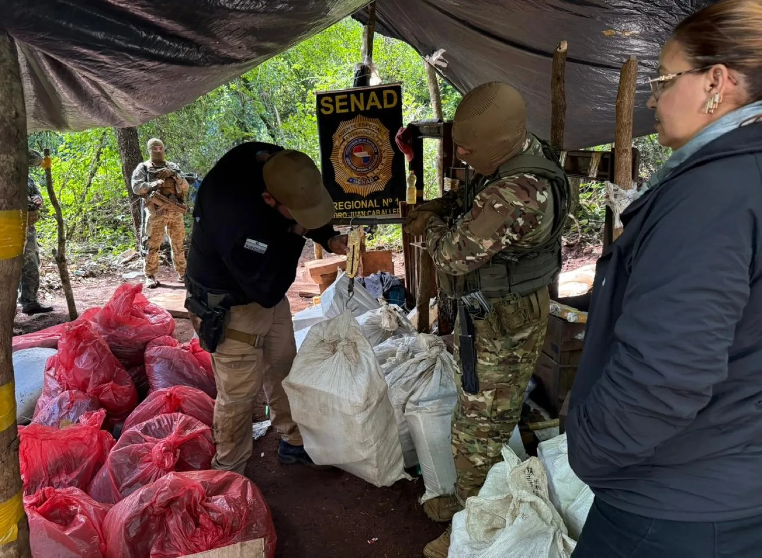 Asestan golpe superior al millón de dólares al narcotráfico en Amambay