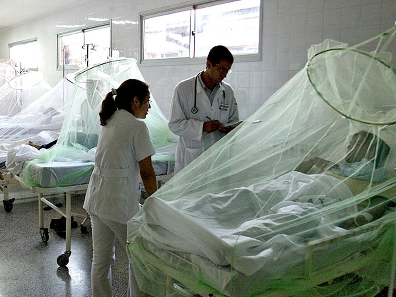 Paraguay registra baja circulación de dengue y tendencia estable a nivel nacional