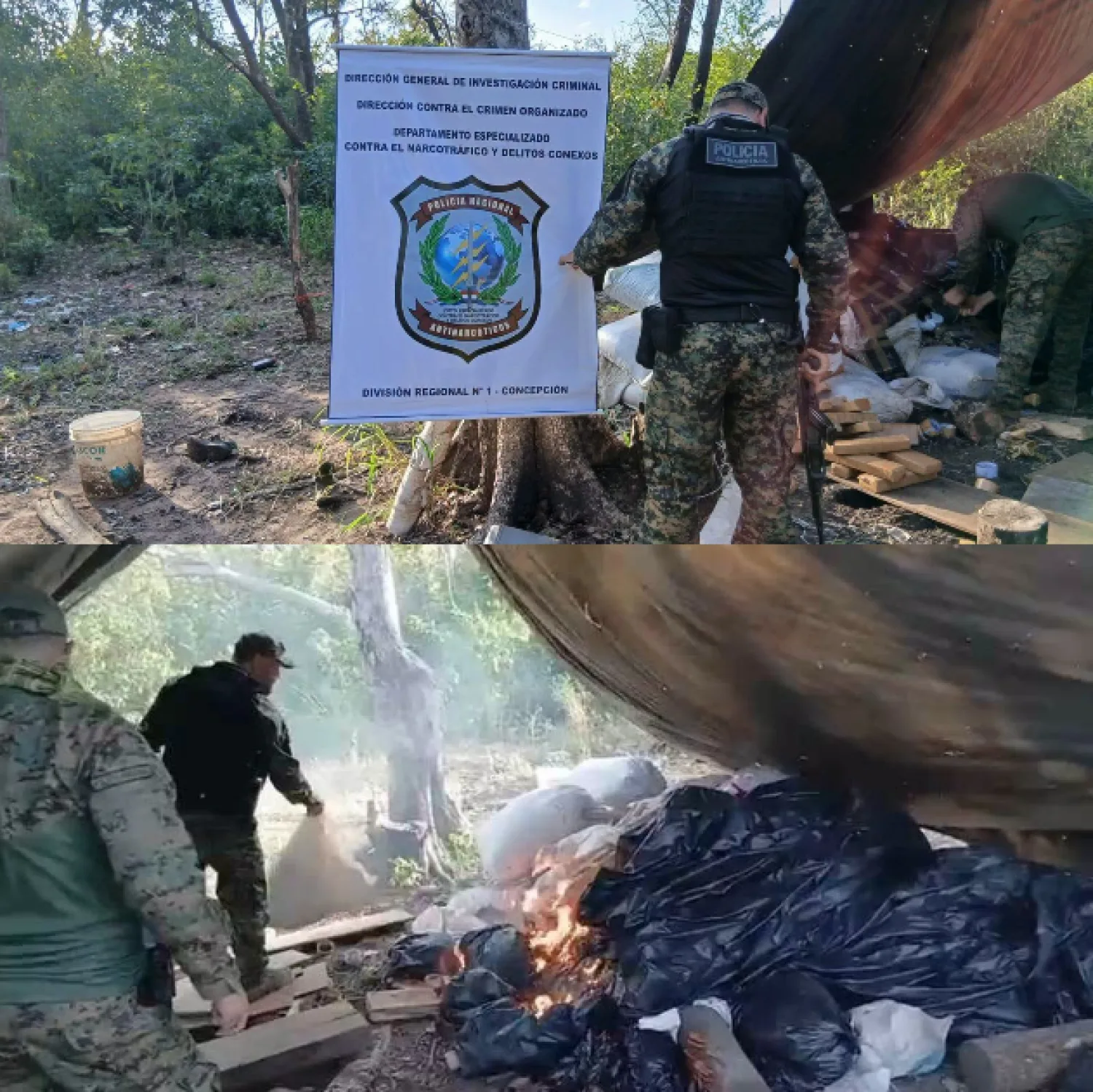 Nuevo mando en Antinarcóticos de Concepción asesta golpe al crimen organizado en el Parque Nacional Paso Bravo
