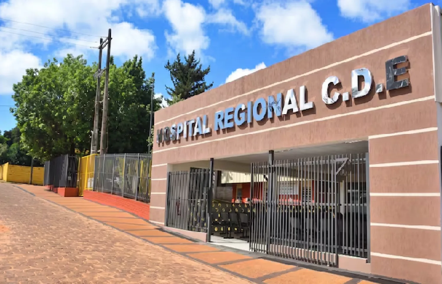 Fumigan hospital de Alto Paraná por invasión de pulgas en área neonatal