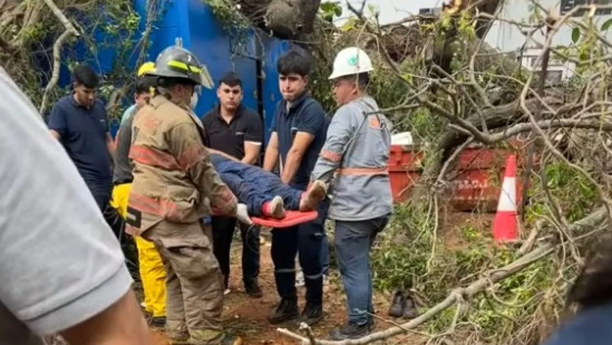 Árbol cayó sobre un hombre durante el temporal