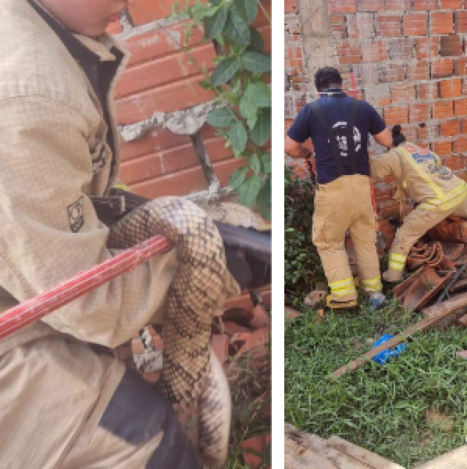 3a2336c82db4e2e7ee43cdc7cfe6109f