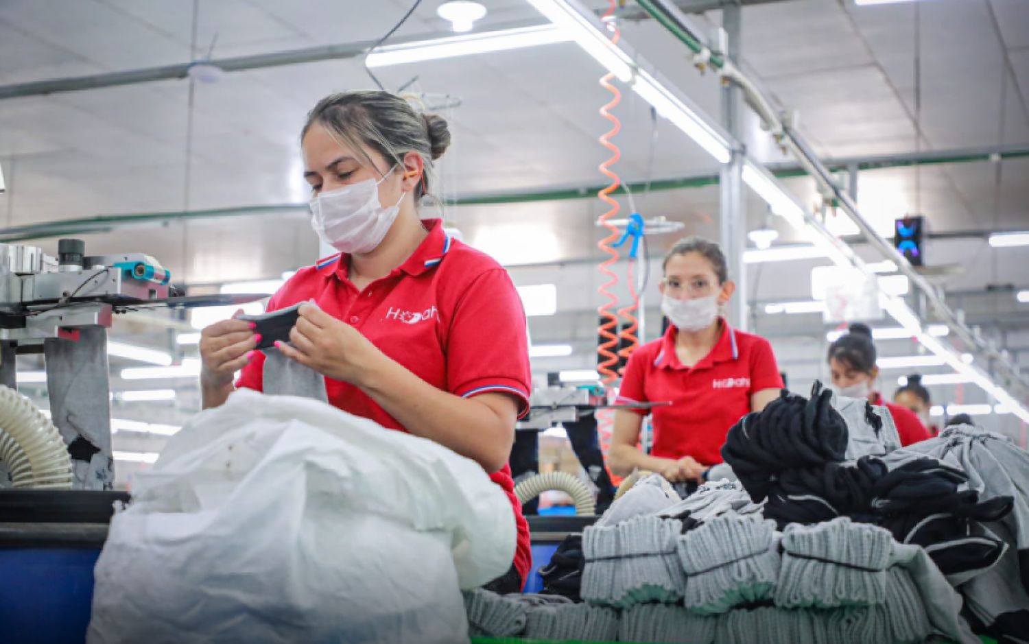 Casi 50% de la población paraguaya es integrada por mujeres, con una tasa de ocupación de más del 60%