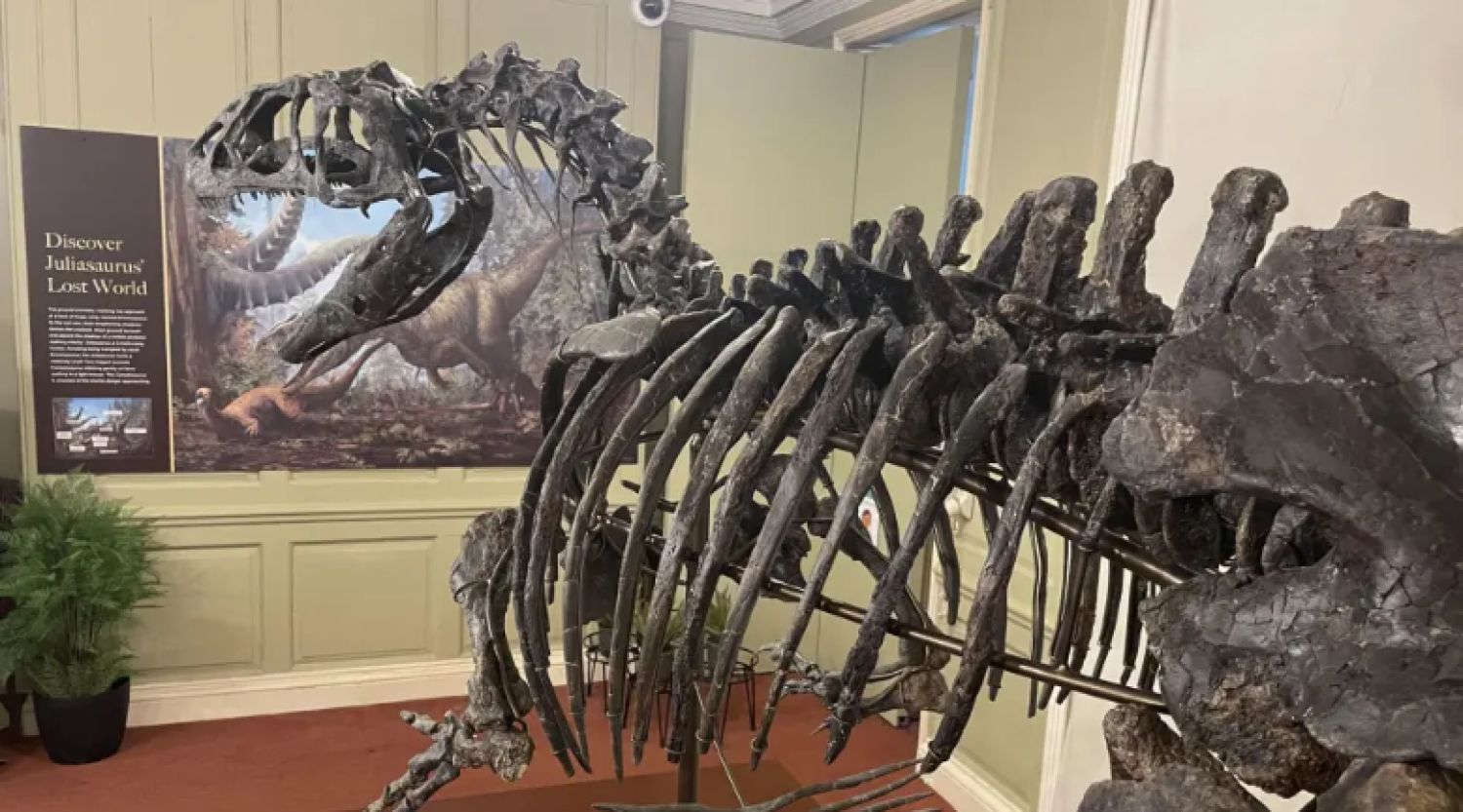 Un esqueleto de dinosaurio de 6 metros de largo se exhibe por primera vez en Reino Unido