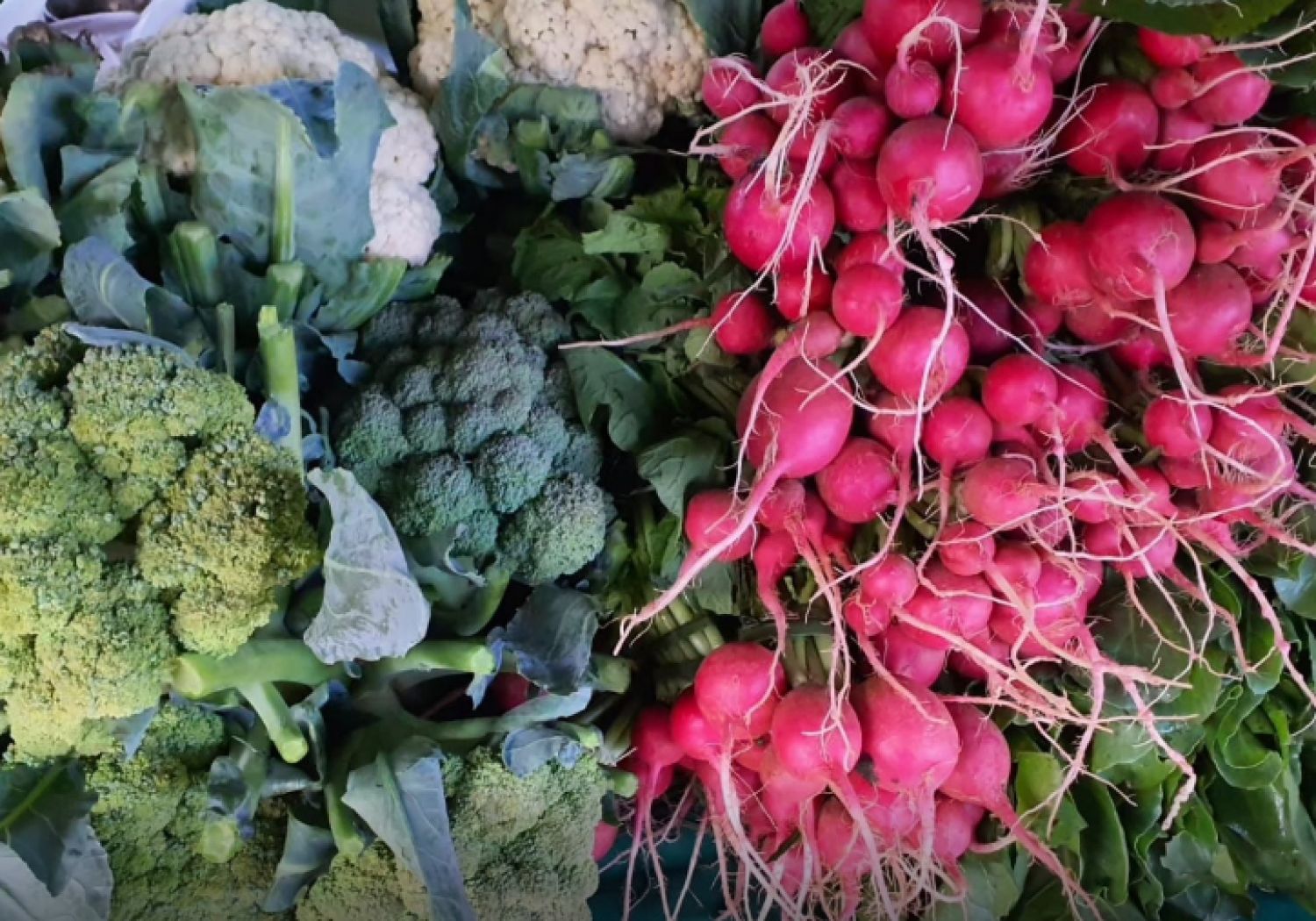 Feria semanal de la Agricultura beneficiará a 540 familias de varios departamentos