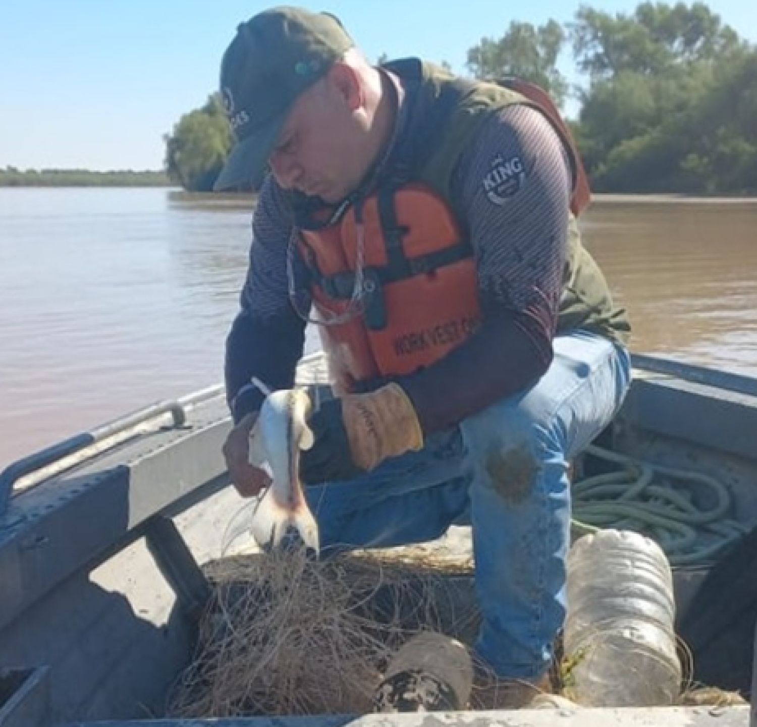 Decomisan espineles y liberan peces atrapados durante control fluvial entre el río Paraguay y Paraná